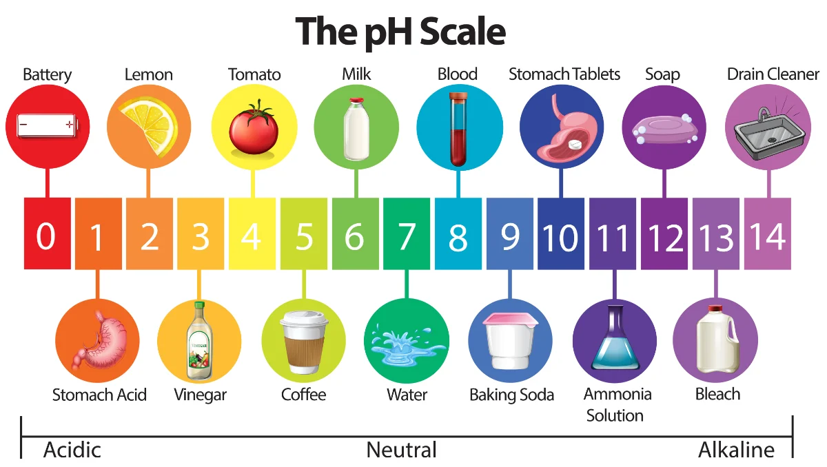 سنسور pH