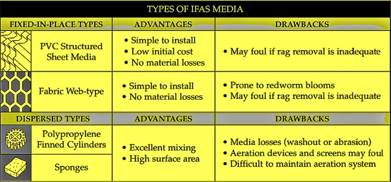 Integrated Fixed Film Activated Sludge (IFAS)